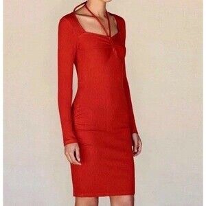 NWT Anthropologie Sundry Dress Sz Large (3) Rust Orange Bodycon L/S USA Earthy